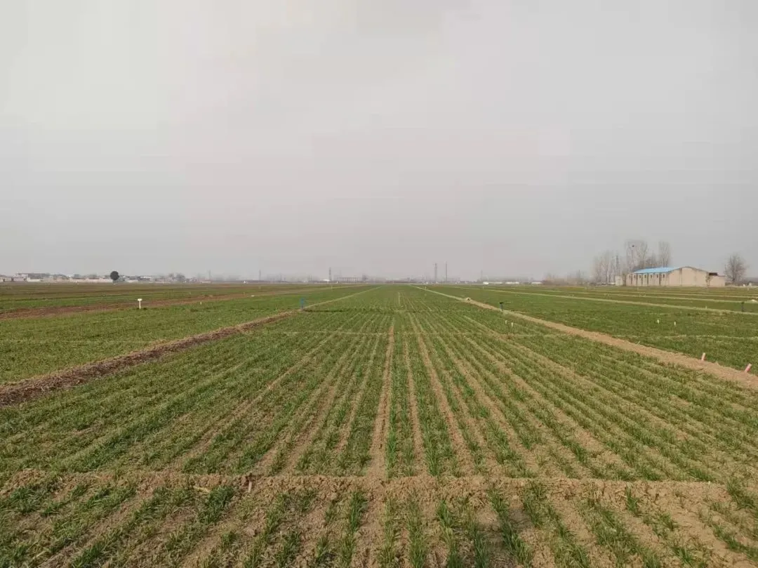 圖片 2.png 圖片 2.png